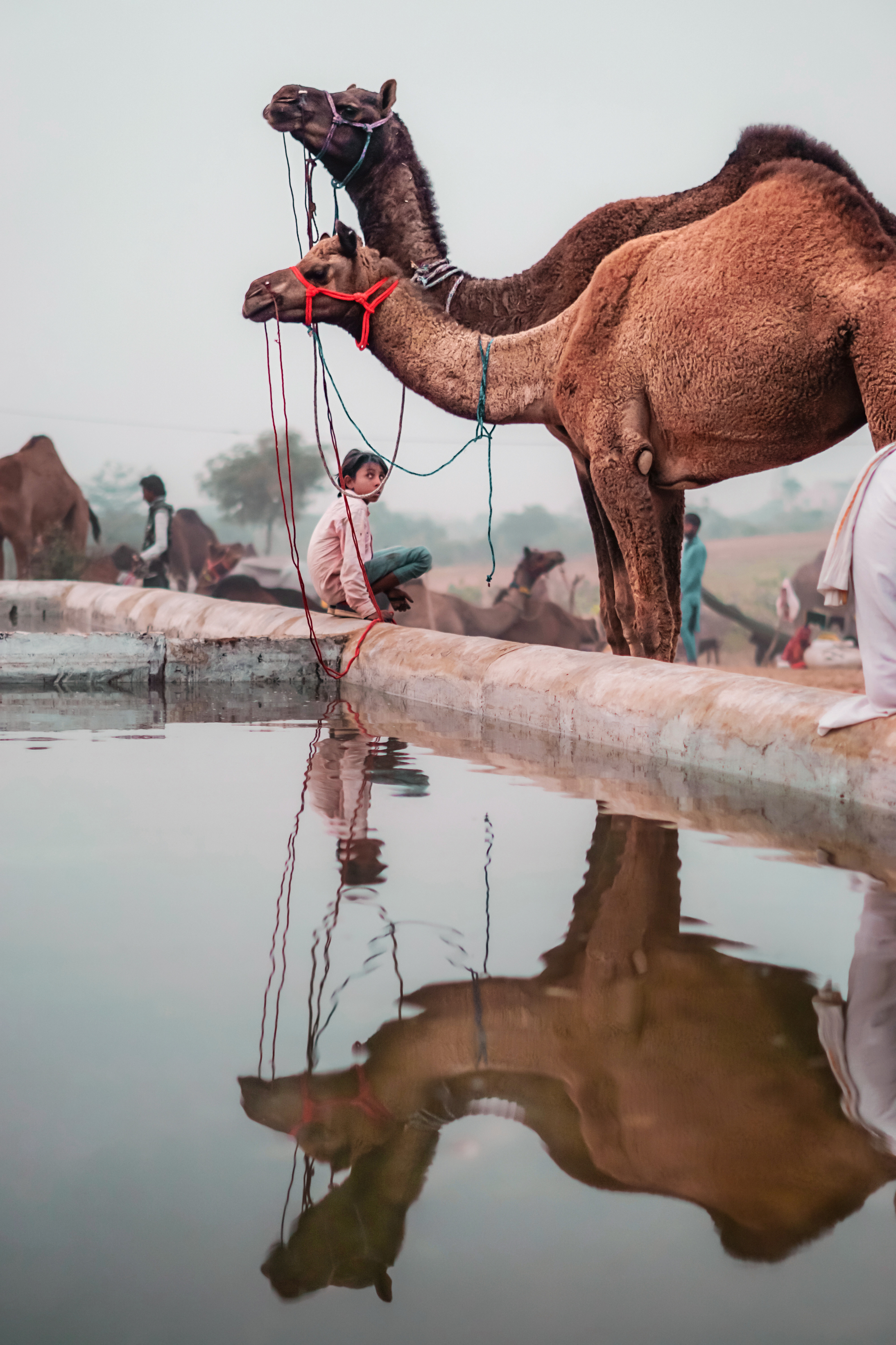 The Tales from Pushkar #9