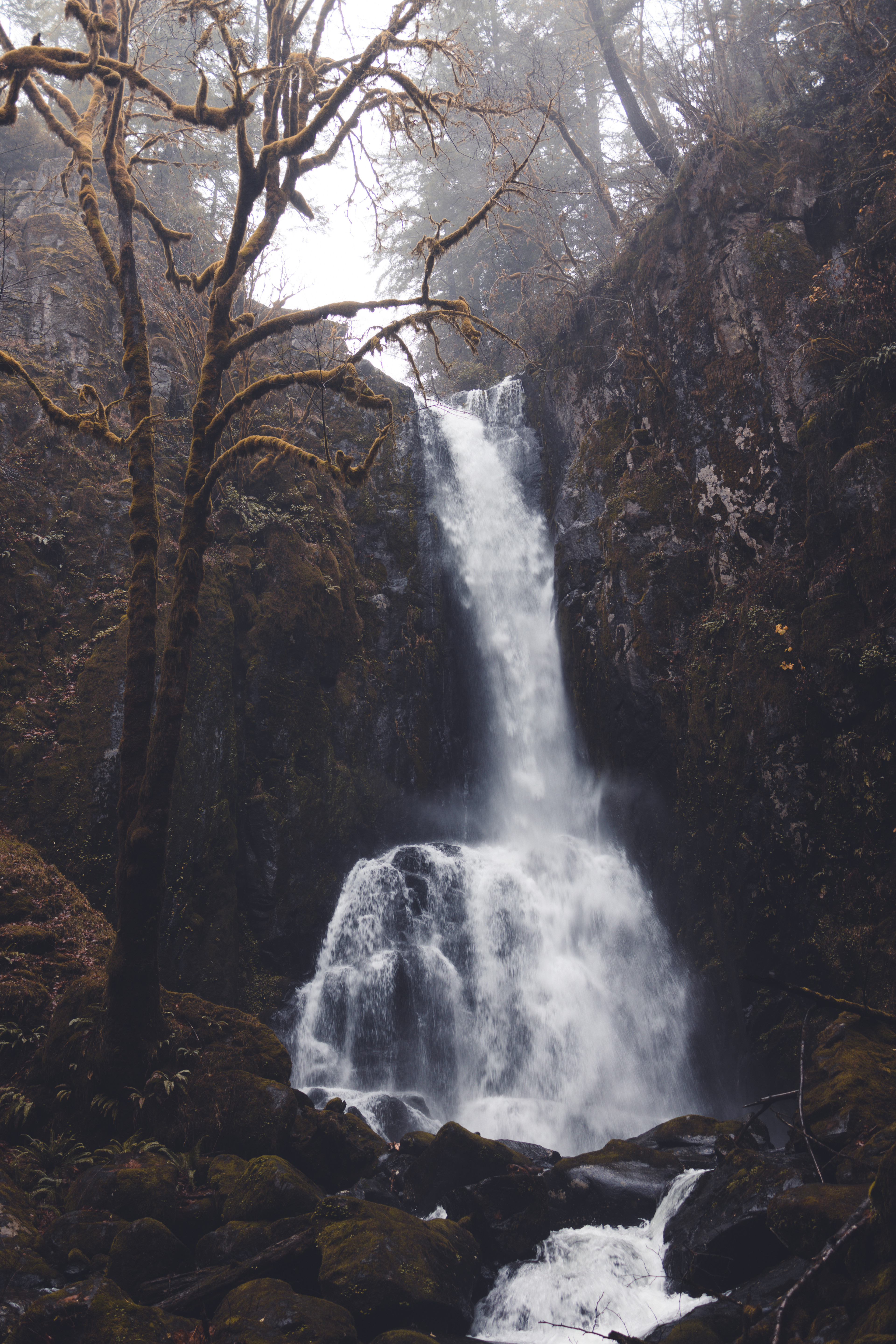 The sound of rain