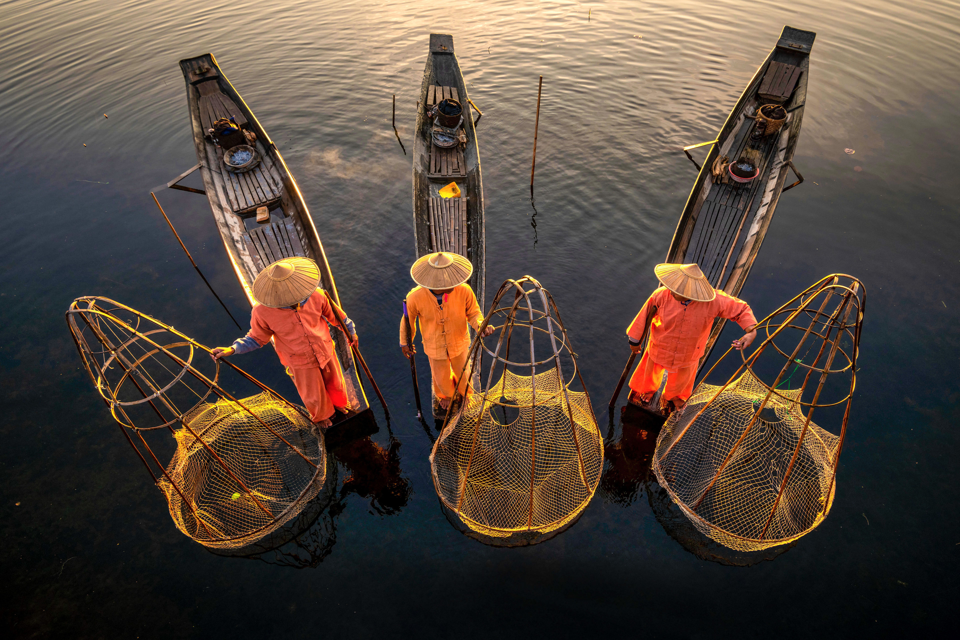 Golden Nets