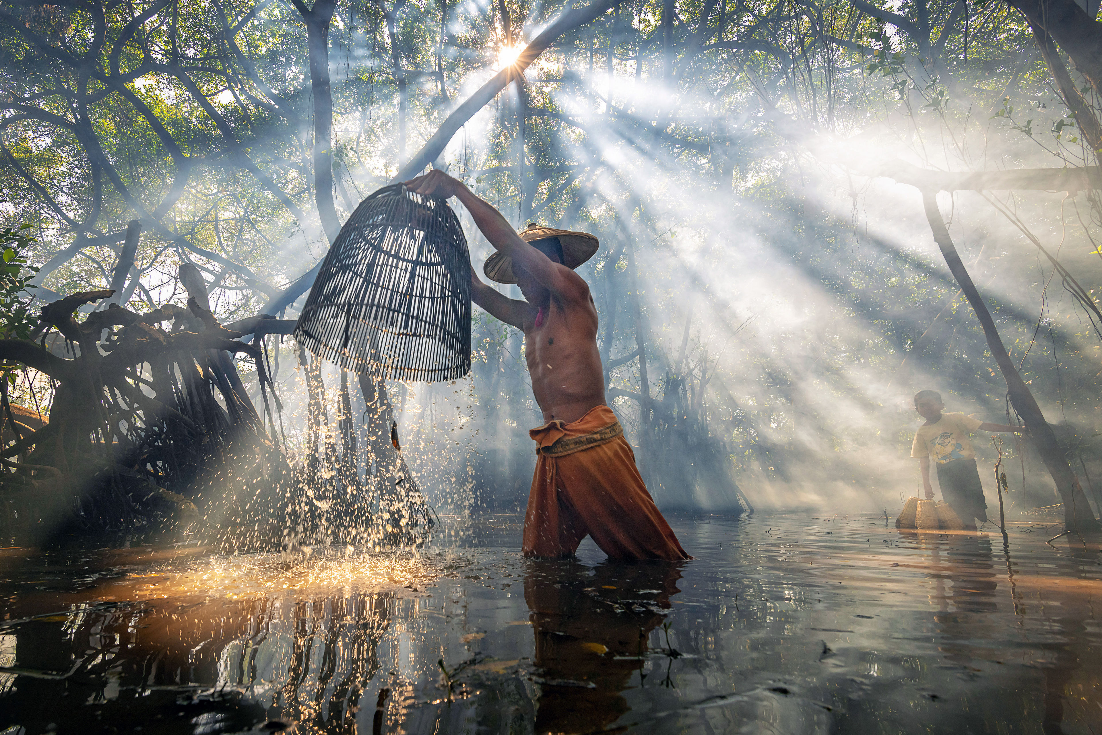 Mangrove Fisherman