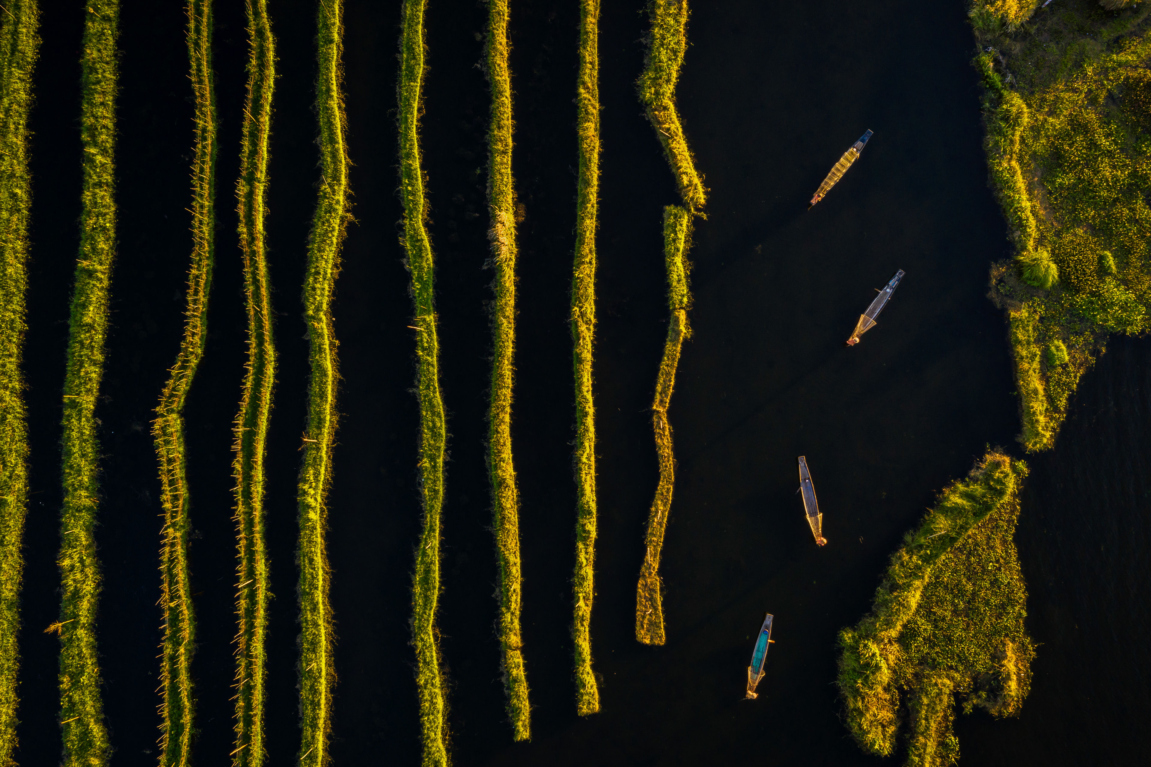 Floating Gardens