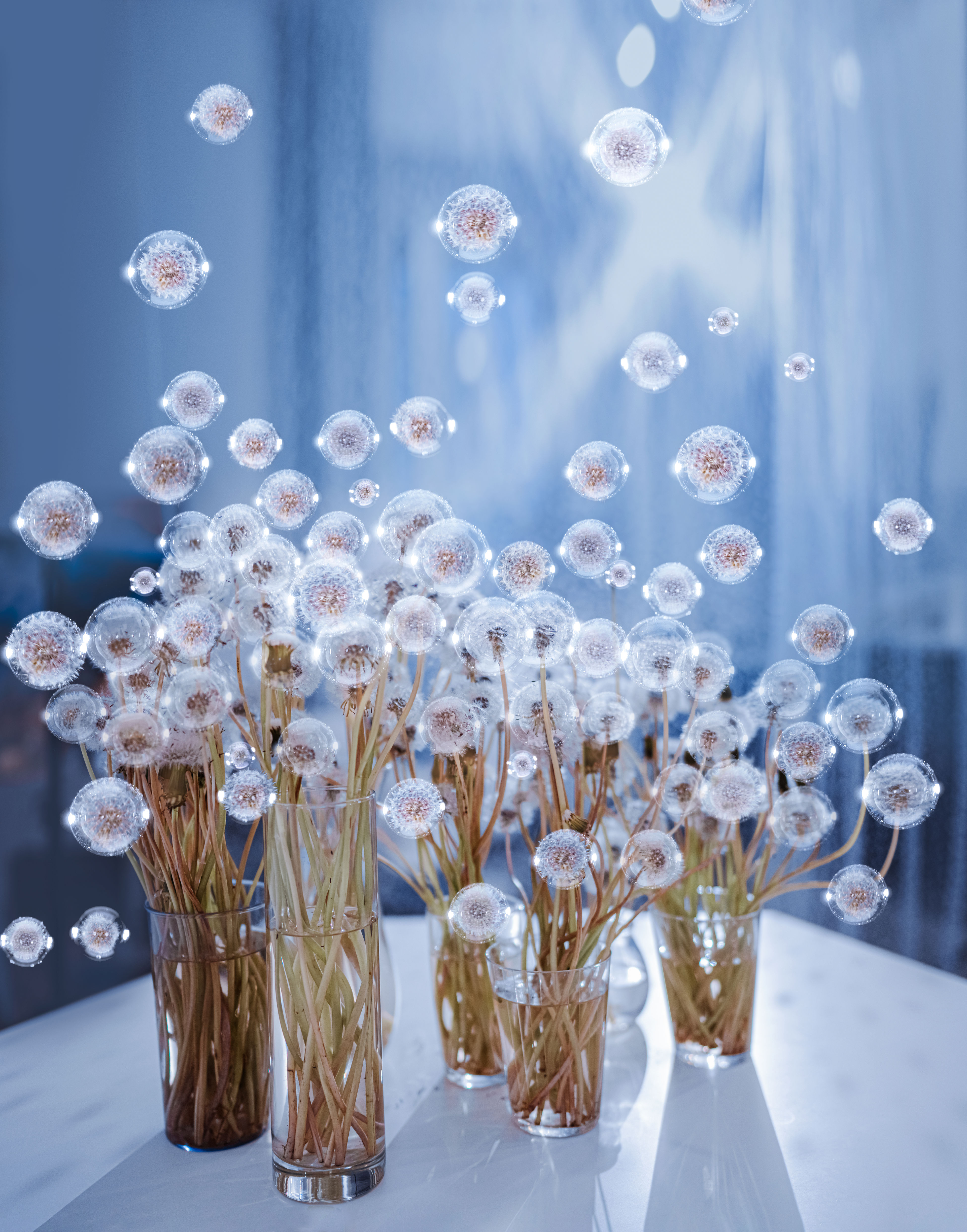 Dandelions and bubbles, composition 1