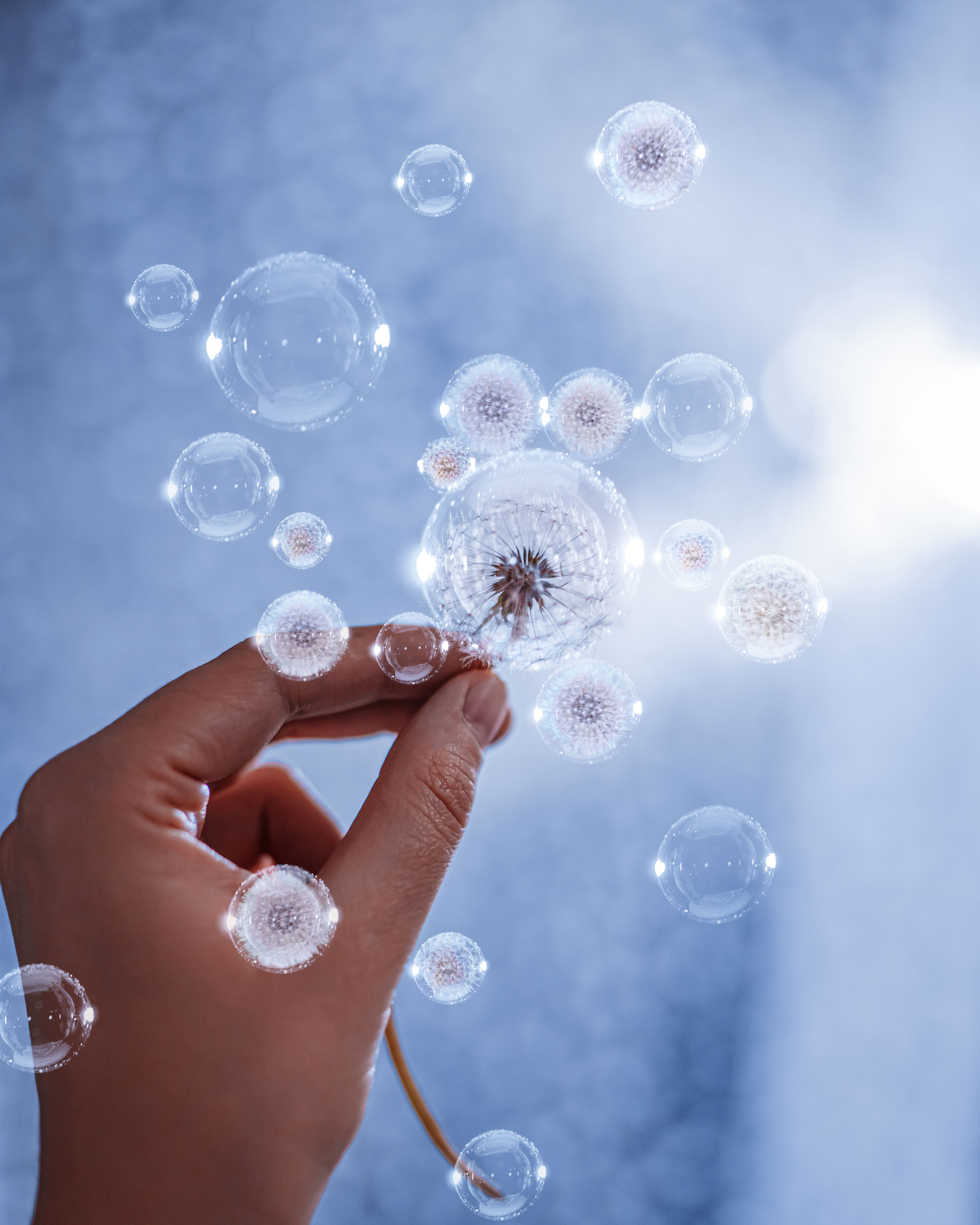 Dandelions and bubbles, composition 2