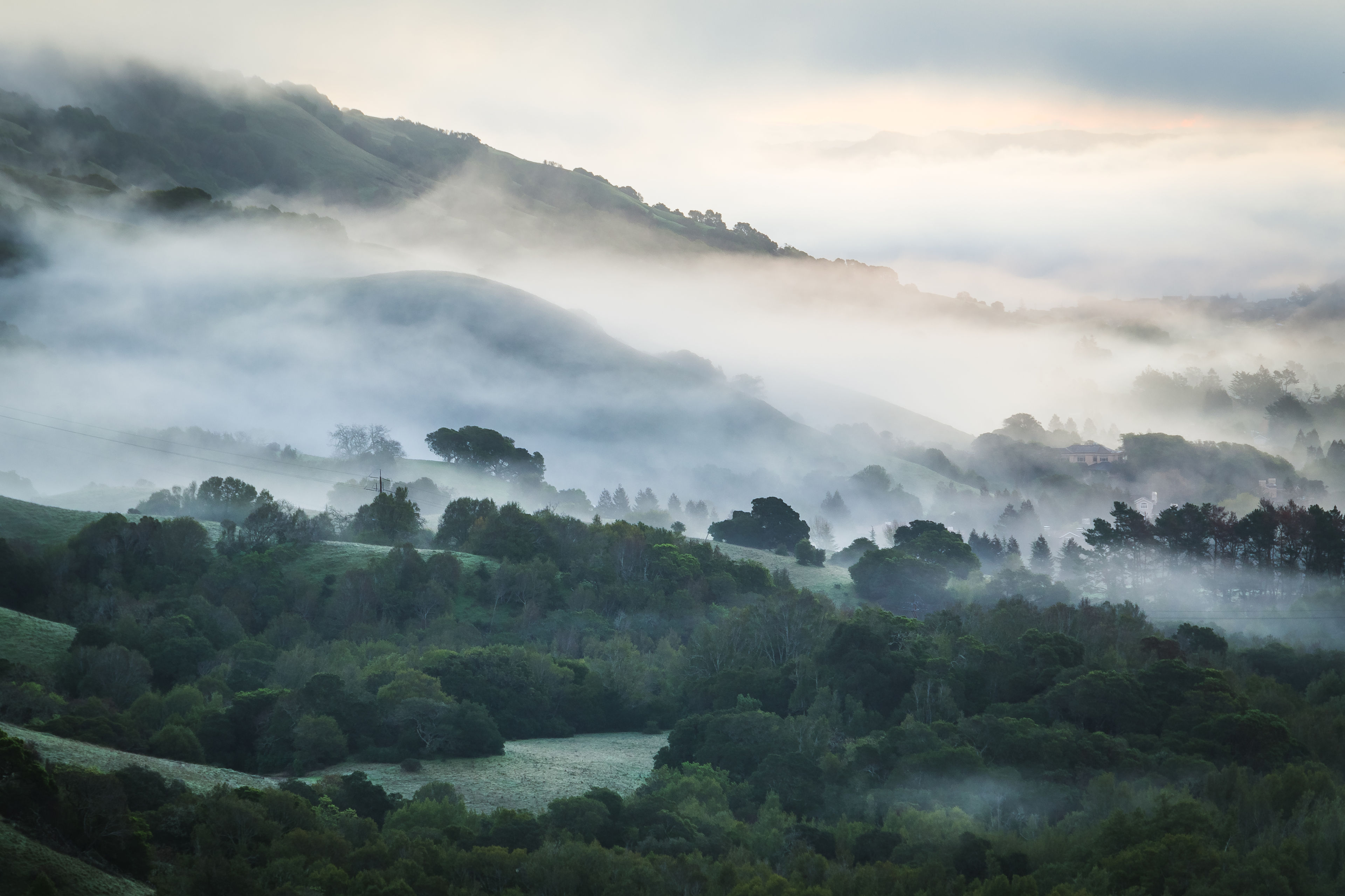 Lucas Valley Layers