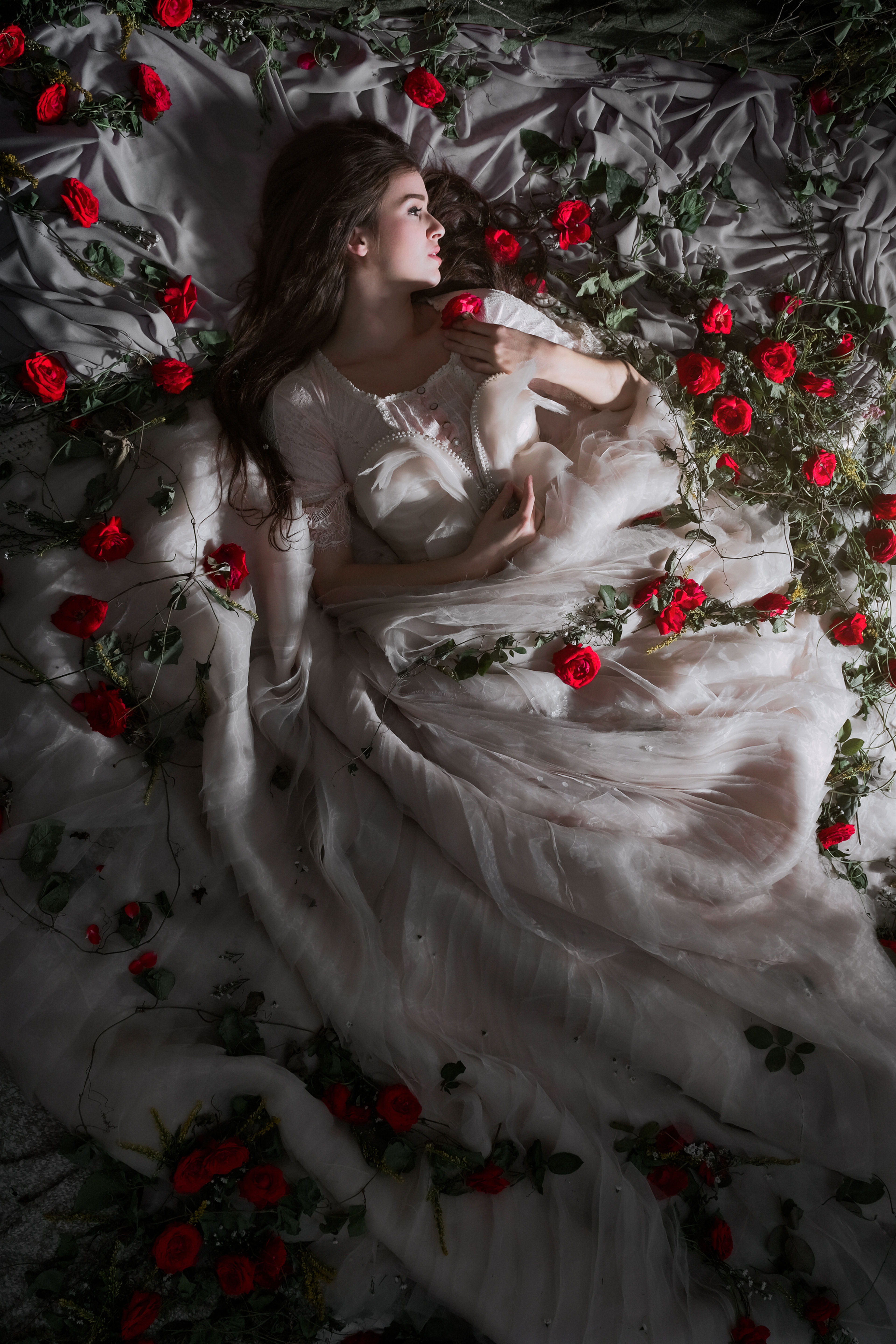 Sleepless Beauty : Bed of Roses