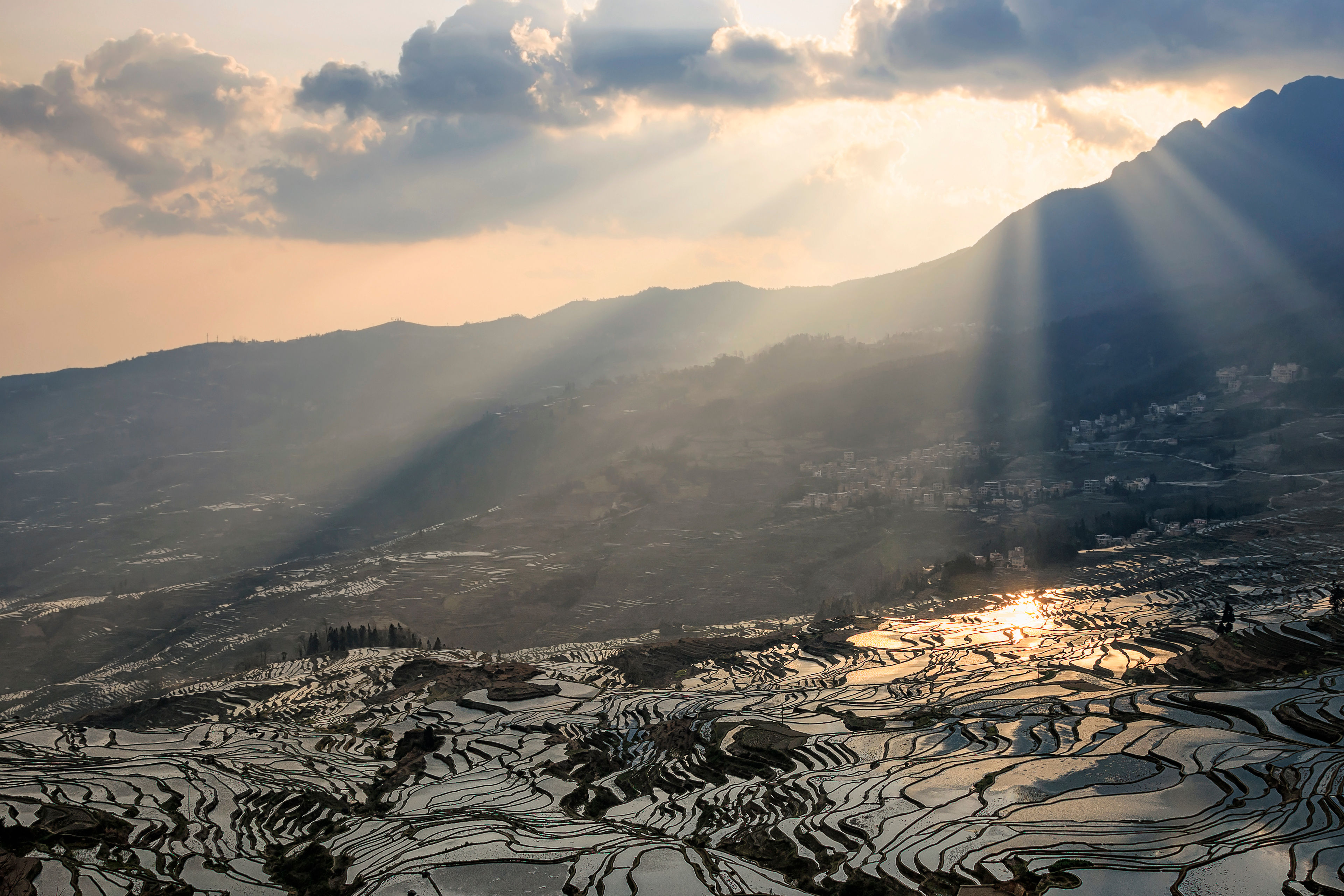 Yuanyang (元阳梯田)