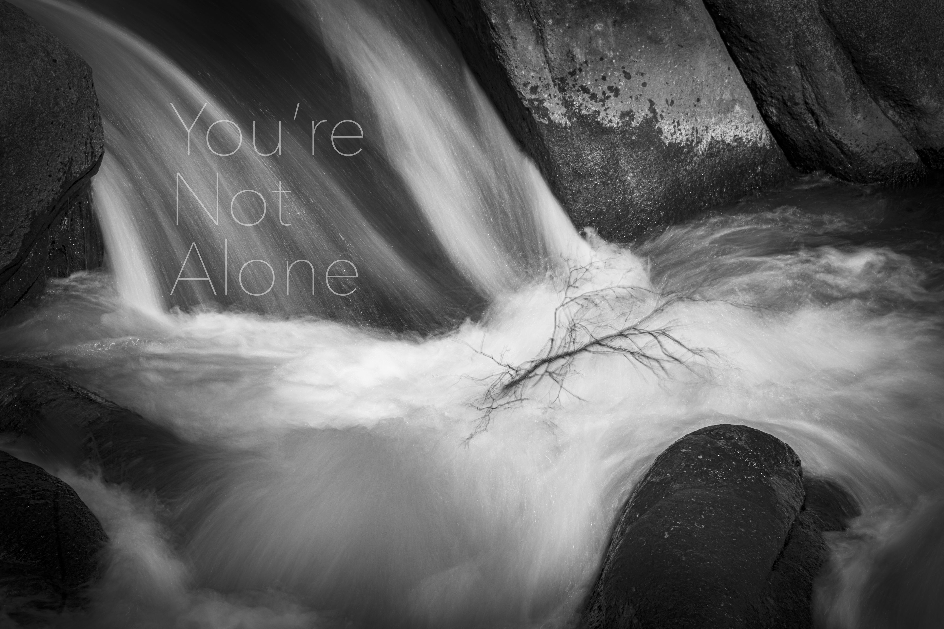 You’re Not Alone - The Rapture by Donna Martinez
