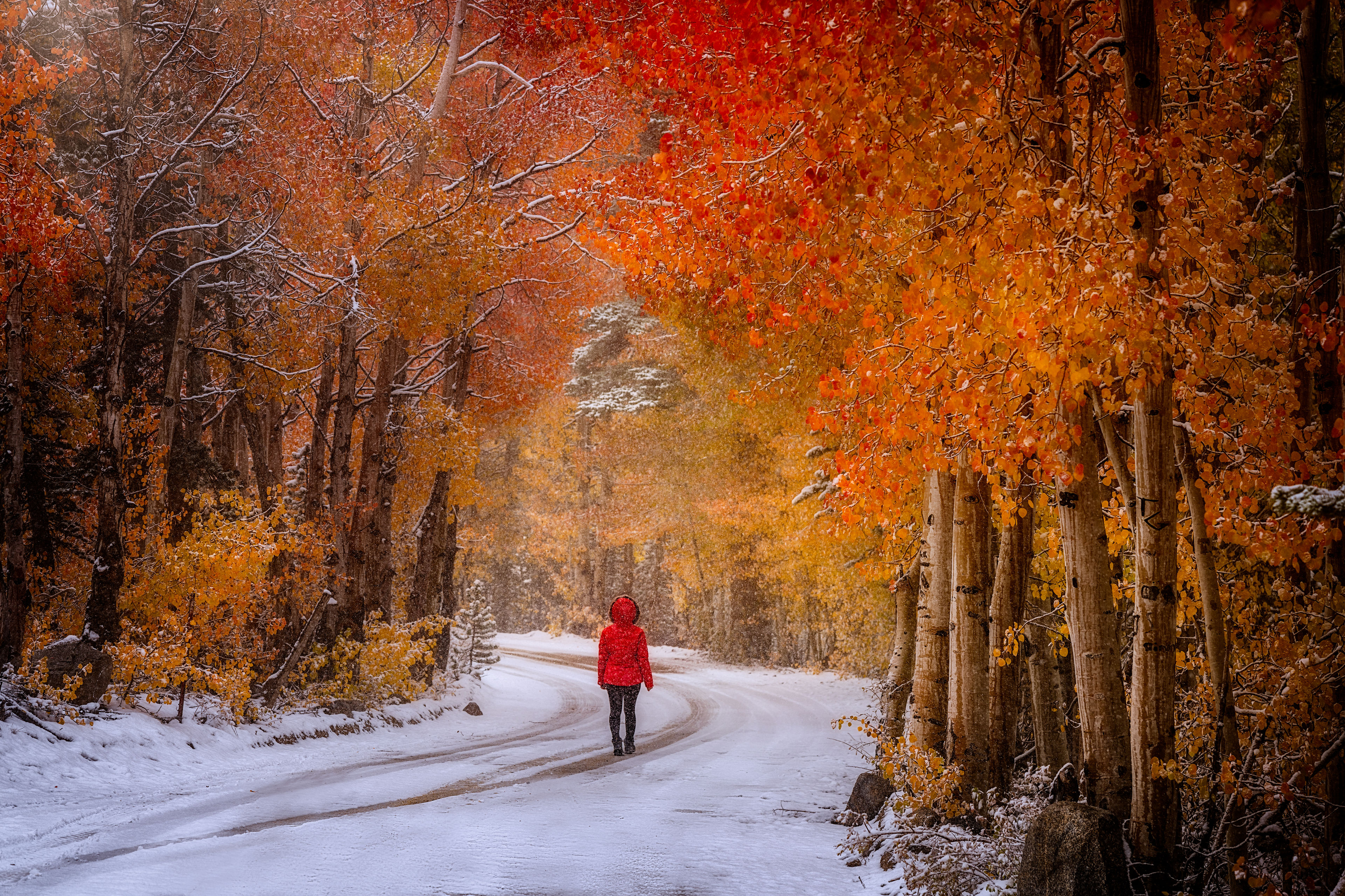 First Snow