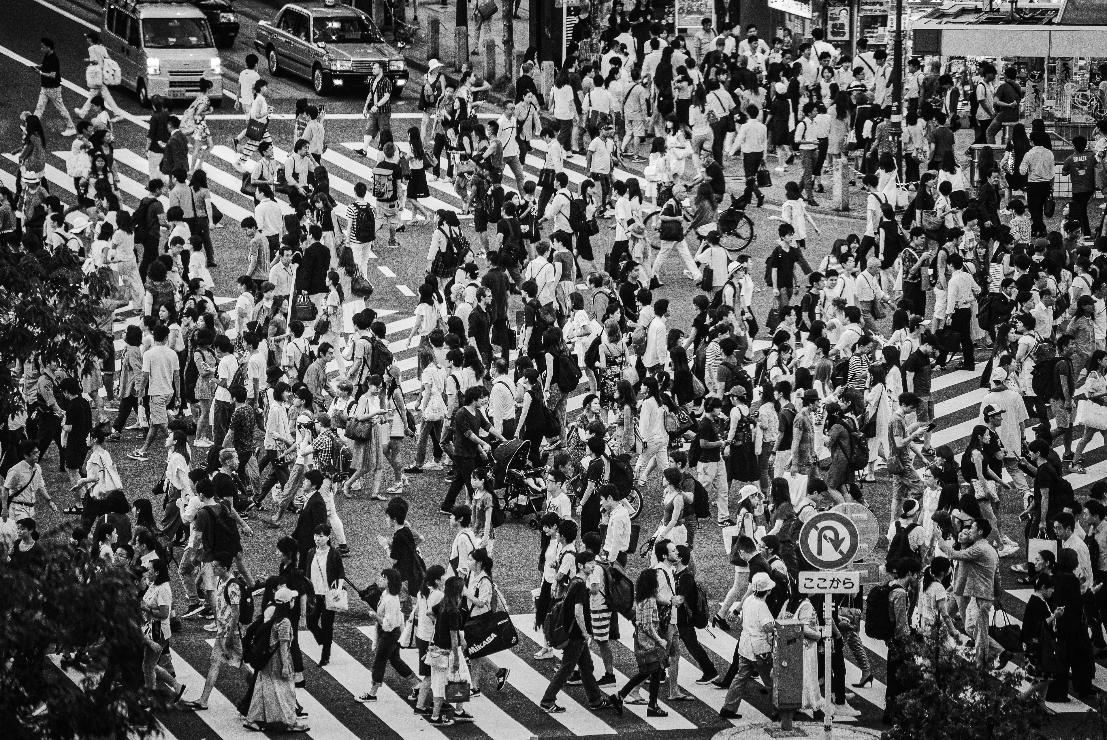 Shibuya Crossing