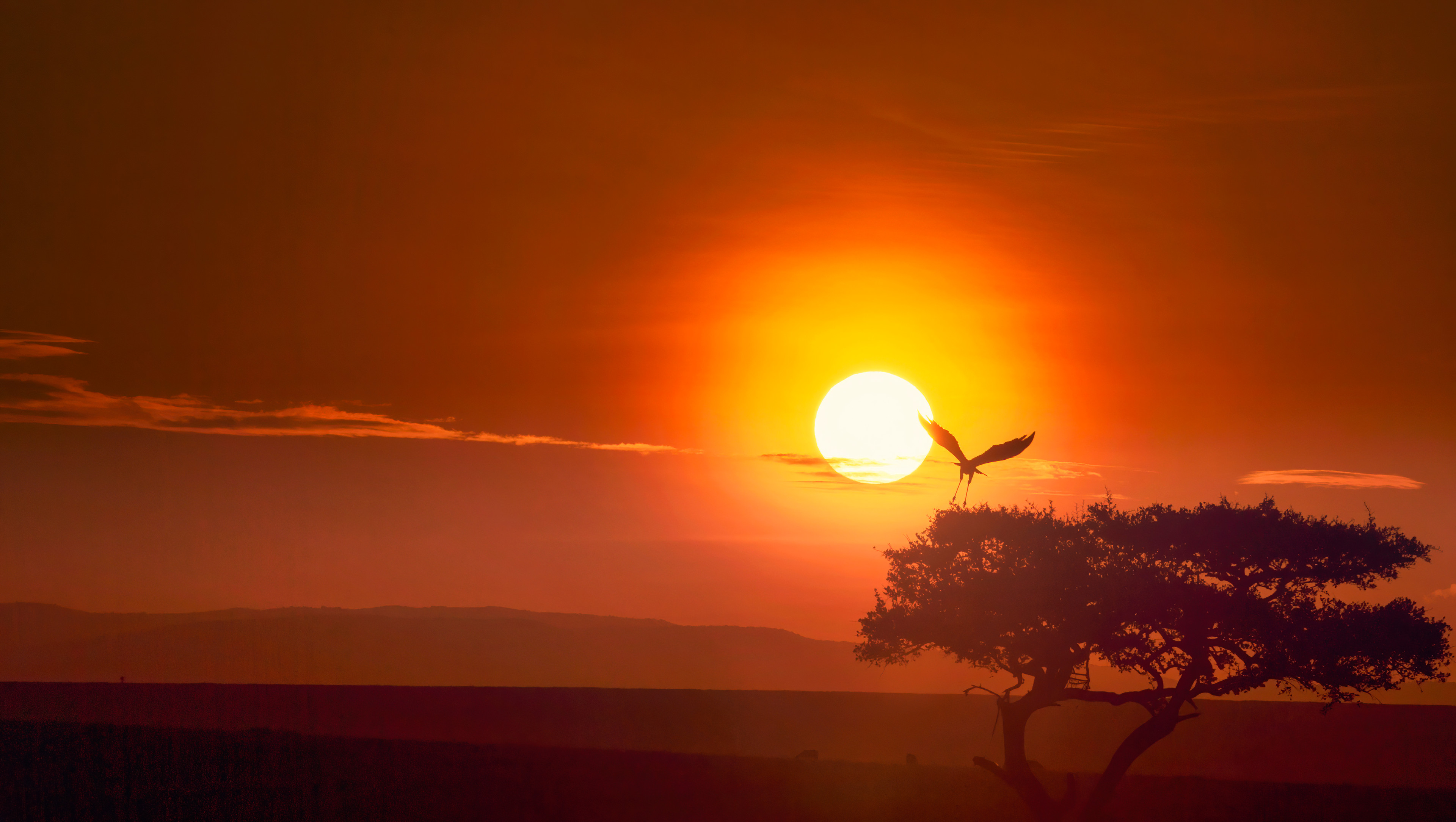 Takeoff at Sunrise