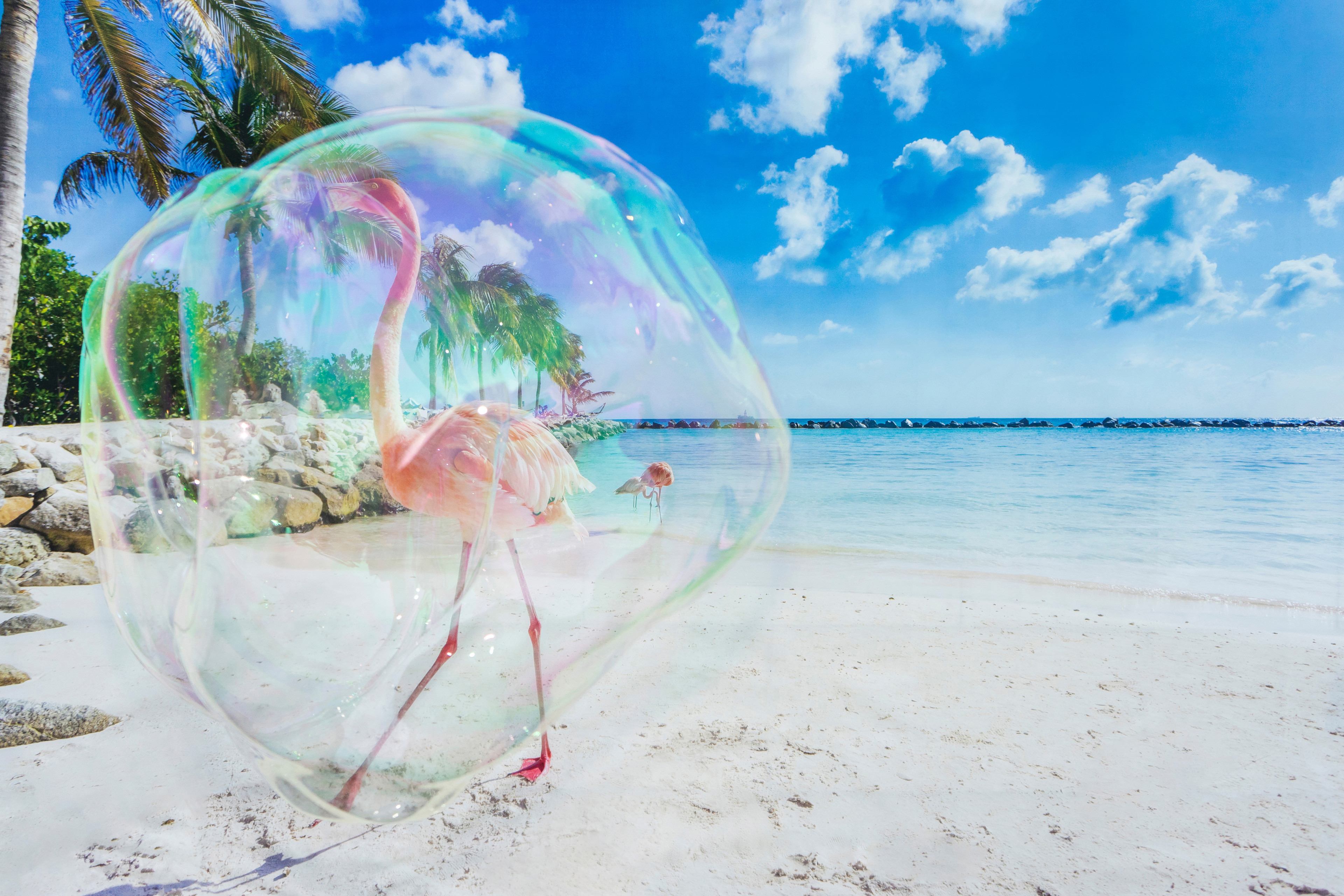 Soapbubble Studies-Lockdown Edition-Bermuda