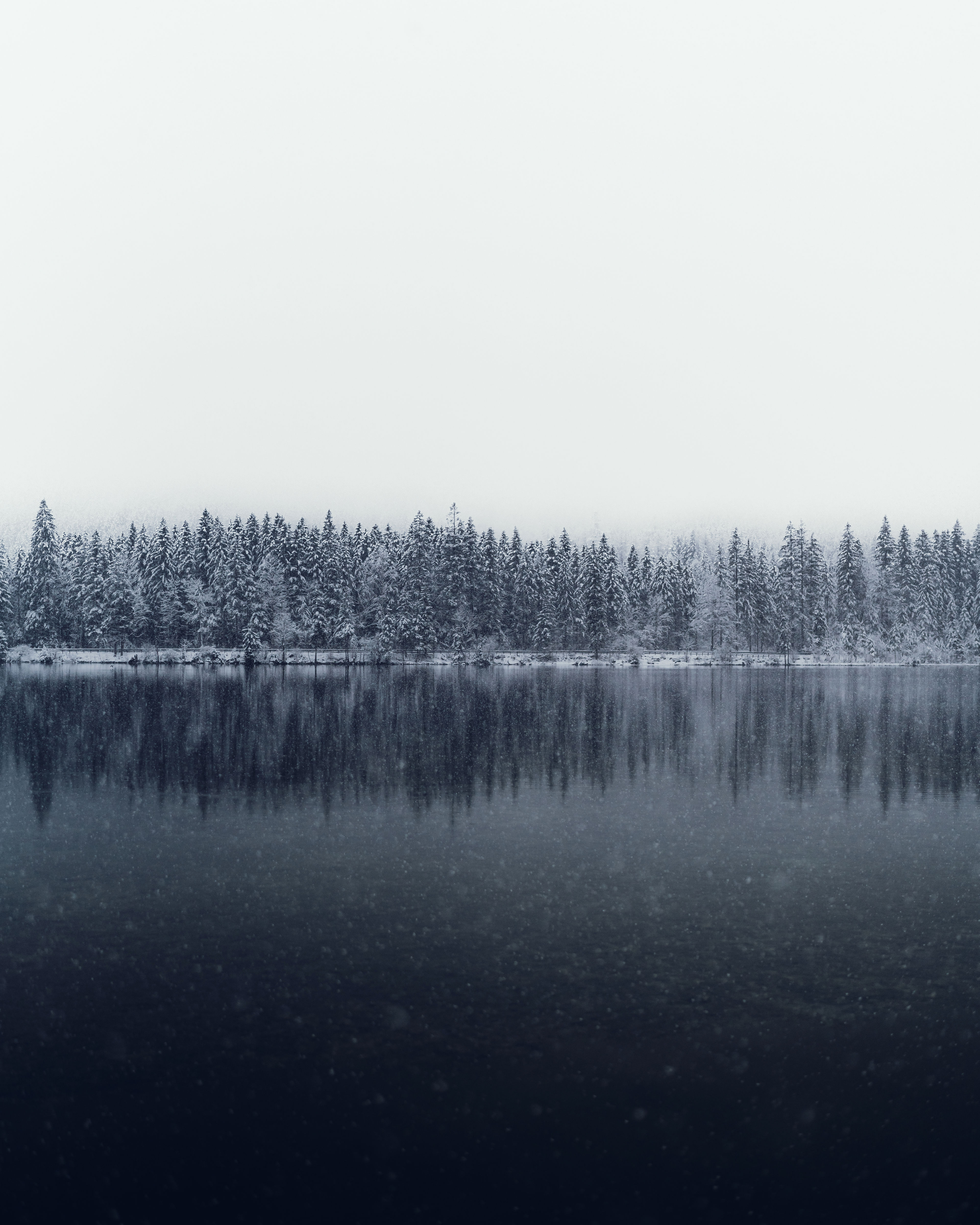 Snowscape by Michael Boegl
