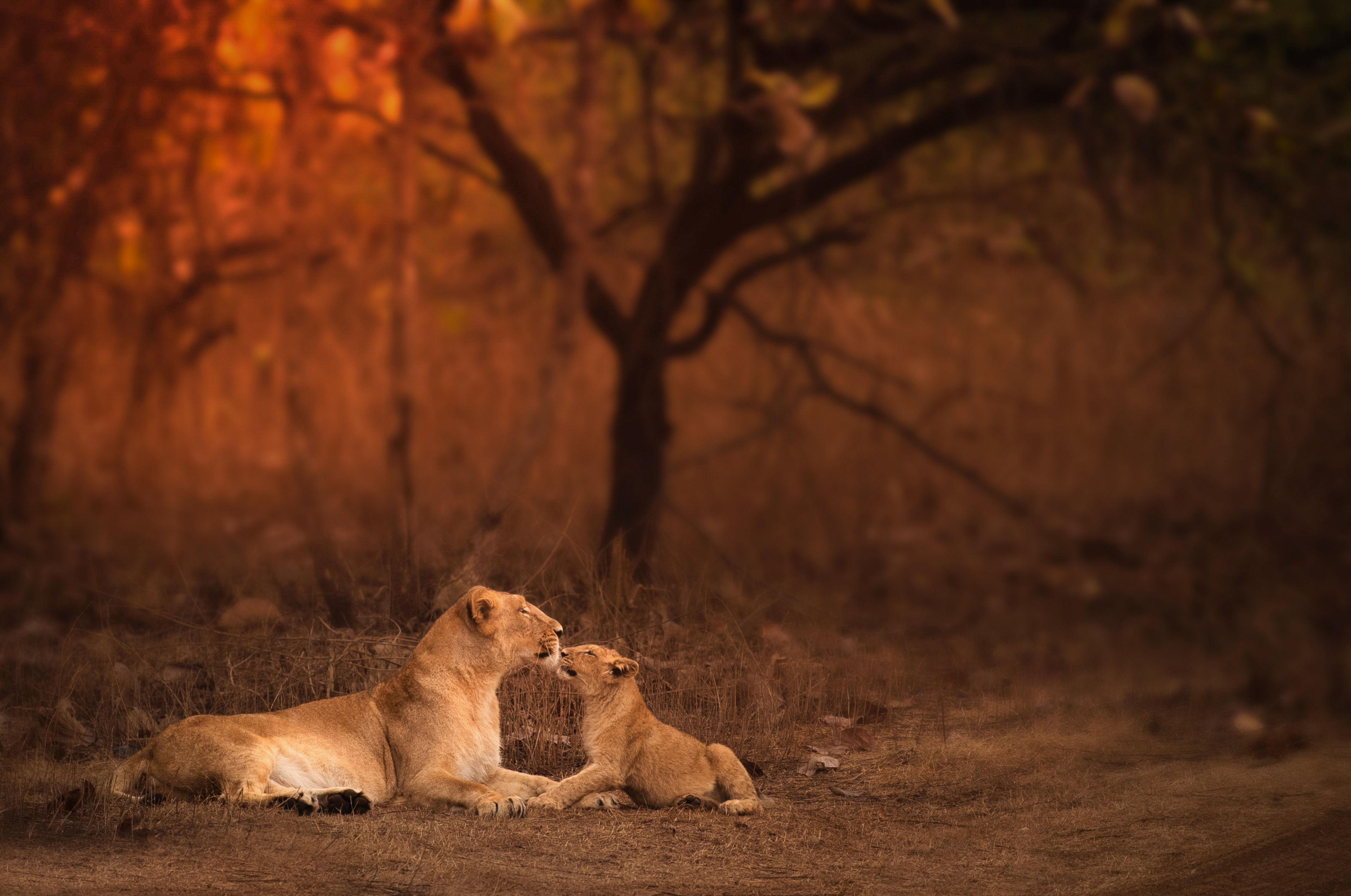 Tender moments of love