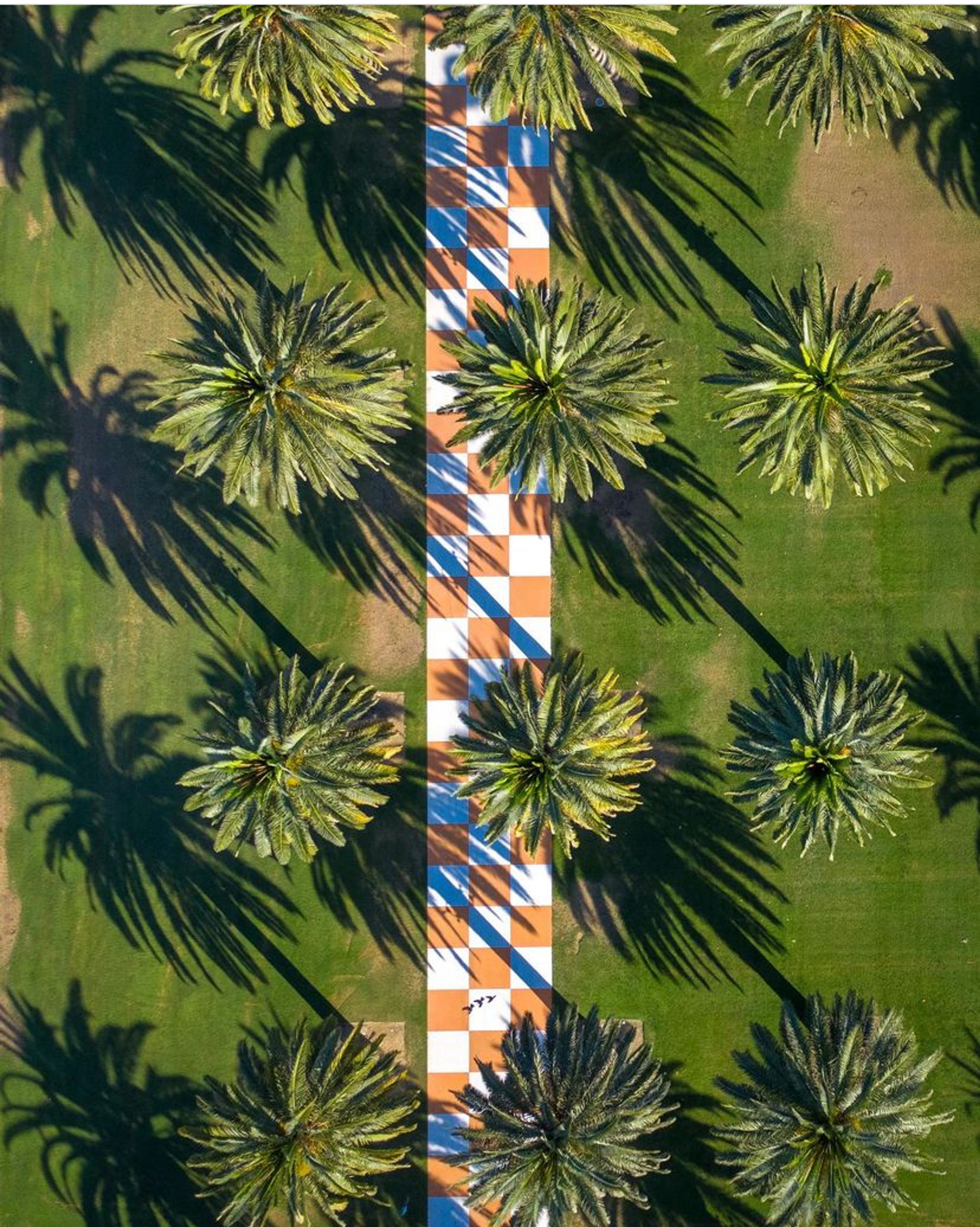 The Palm Grid