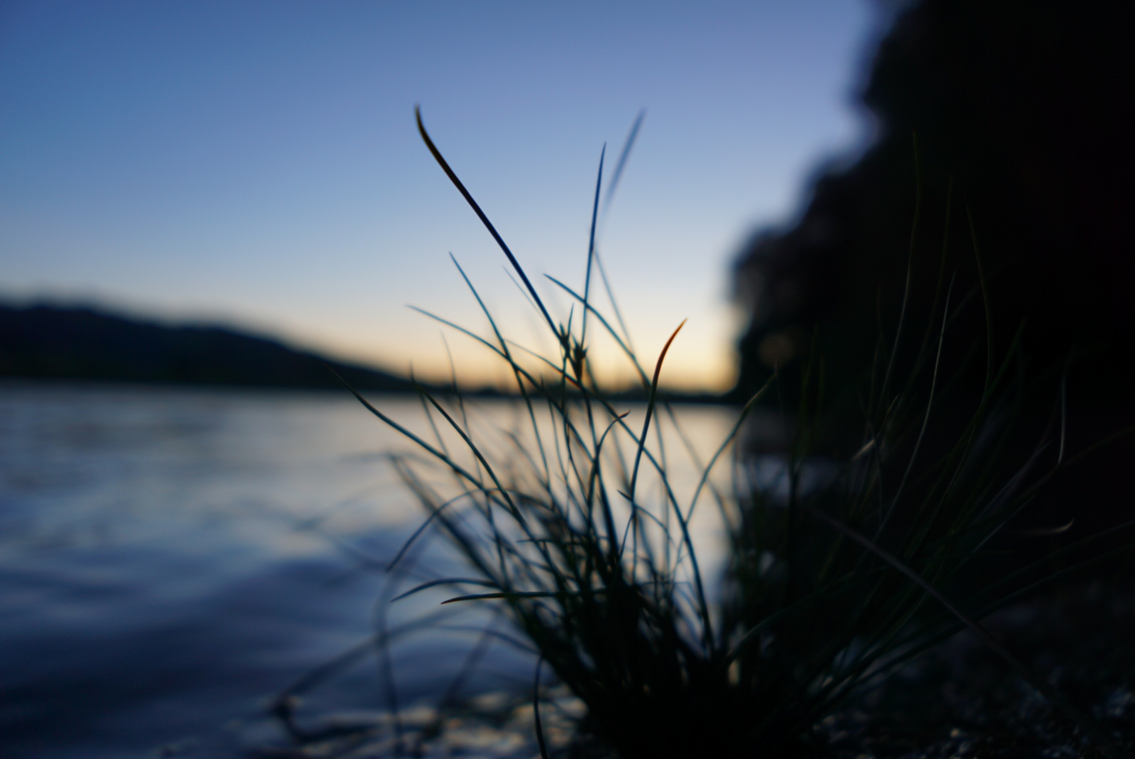 River Bokeh Sunset