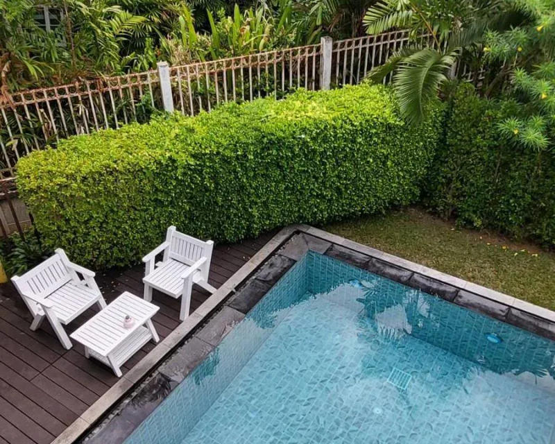 Land and House Chalong, Large garden - Image 5