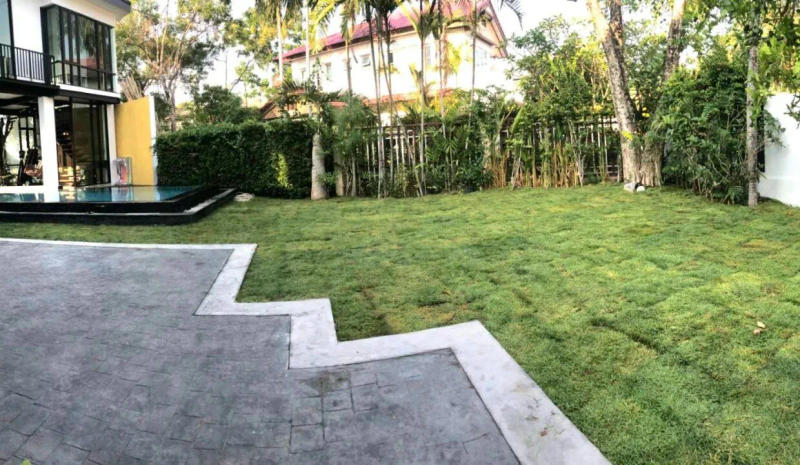 Land and House Chalong, Large garden - Image 8