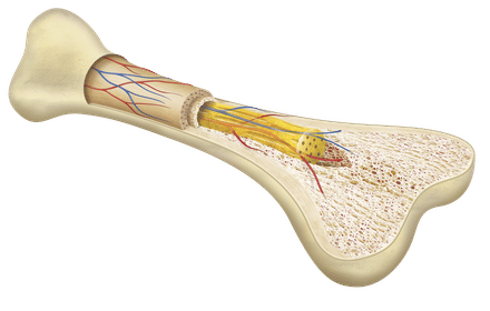 Африкалық аборигендердің секс фотосуреттері