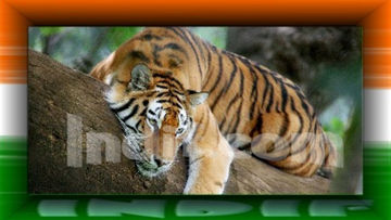 About India by on emaze About India by on emaze