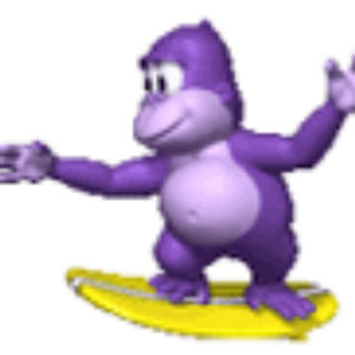 BONZIBUDDY  bonzisoftware