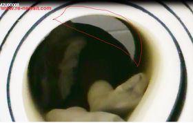 Kendrick Johnson Forensics Powerpoint By Juanbueno65 On Emaze