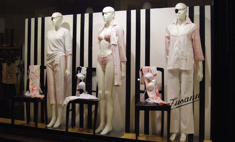 Bra Hang Rod at Victoria's Secret  Retail fixtures, Visual merchandising  displays, Shop interior