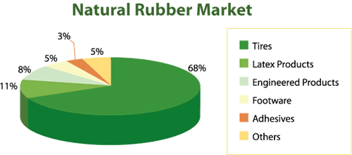 natural rubber consumption