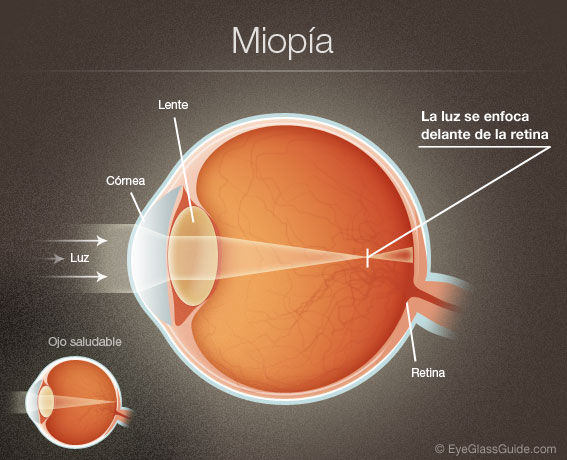 FISICA OJO HUMANO by yaja_ellonatico on emaze