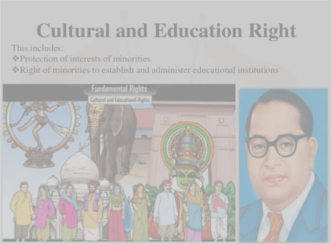 fundamental rights to cultural and educational rights