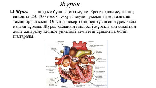 Догги стиліндегі ең қызықты фотосуреттер