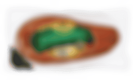 Polska Kielbasa Natural Casing Smoked Sausage Loop