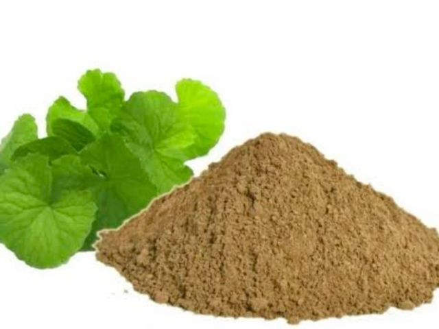 Neer Brammi powder