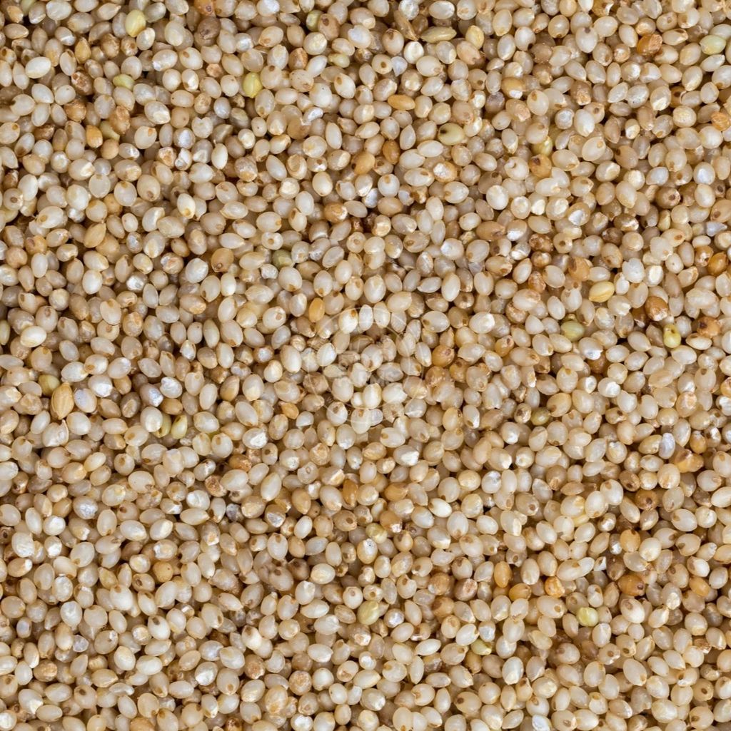 Barnyard Millet