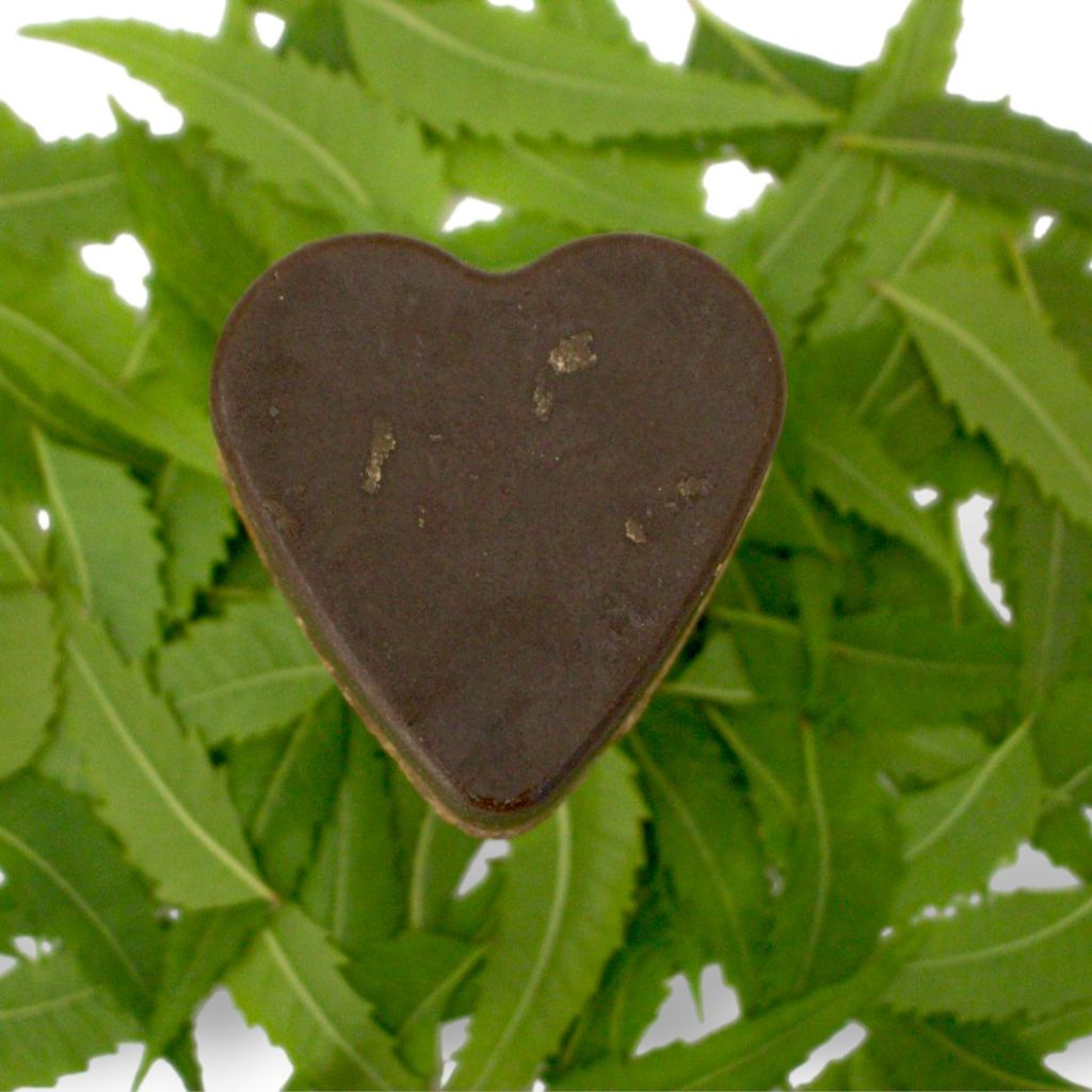 neem-soap