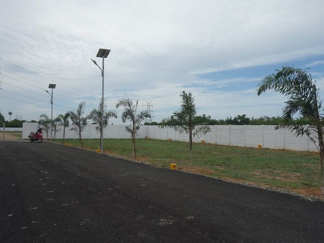 Royal Gold 7