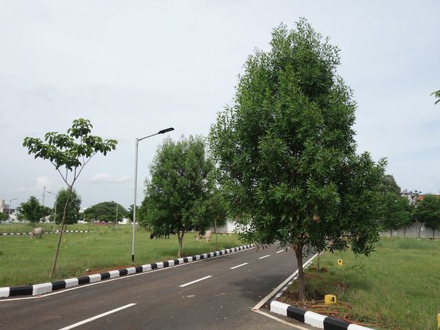 SMP Nagar - 1