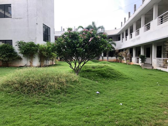BSD College Campus With Plant
