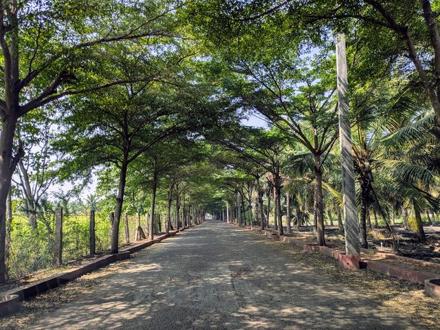 BSD Pharmacy - Entrance - Trees