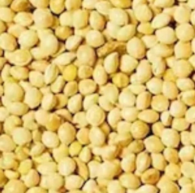 foxtail-millet