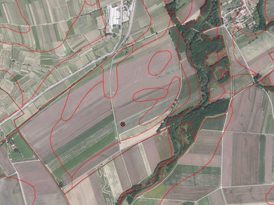 Grundstück kaufen in Niederösterreich Krems Grafenegg 2417/9052 Bodenkarte