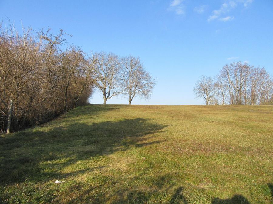 Haus kaufen in Niederösterreich Gänserndorf Zistersdorf 2417/9316 14 Garten