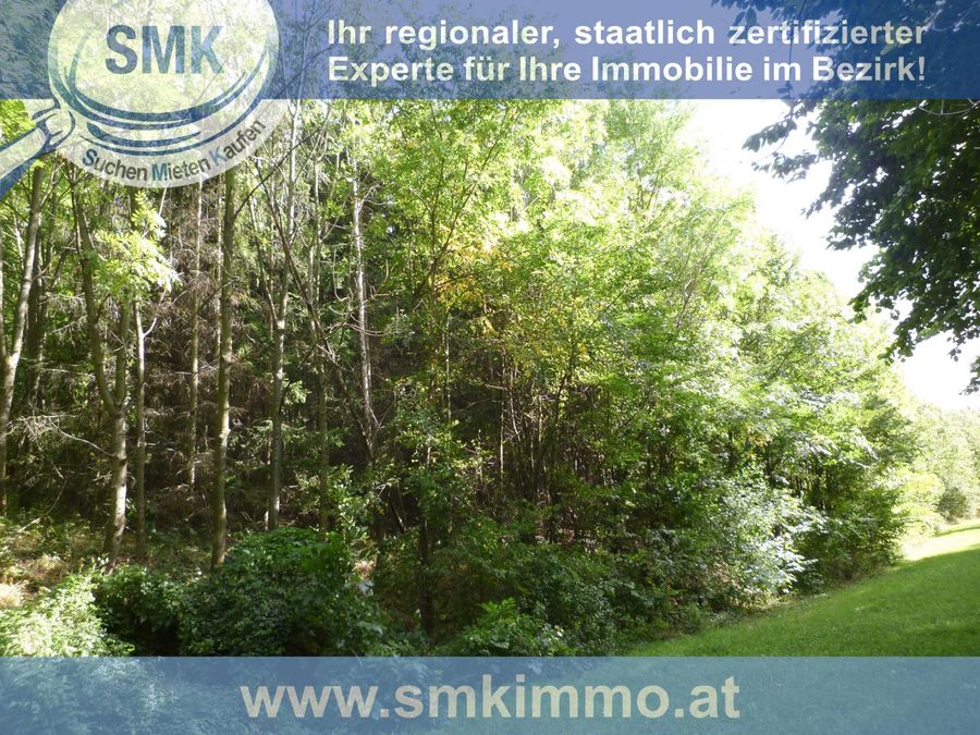 Grundstück kaufen in Niederösterreich Mistelbach Guttenbrunn 2417/9411 3