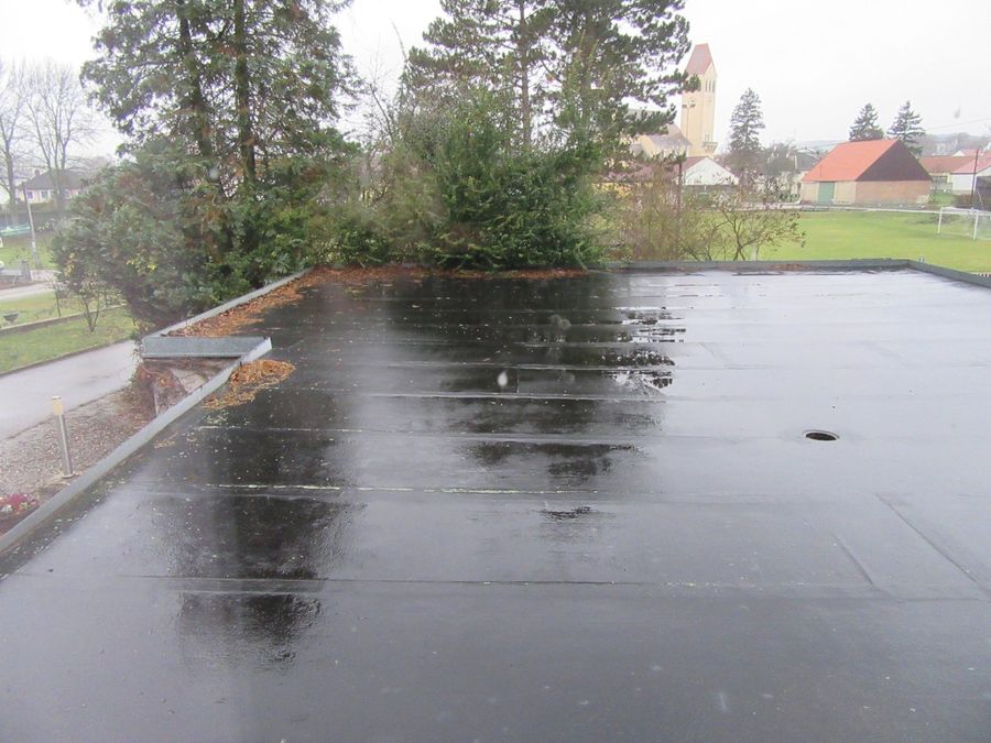 Haus kaufen in Niederösterreich Mistelbach Eibesthal 2417/9564 12 Terrasse 2