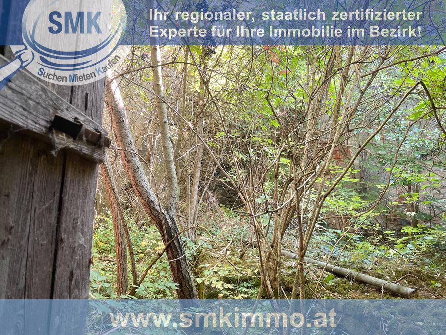 Haus kaufen in Niederösterreich Waidhofen an der Thaya Raabs an der Thaya 2417/9630 11