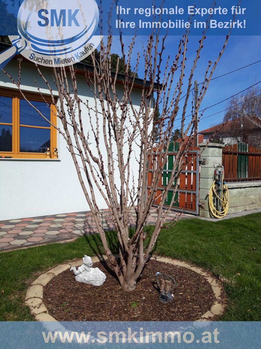 Haus kaufen in Wien Wien 21.,Floridsdorf Wien 2417/9640 21