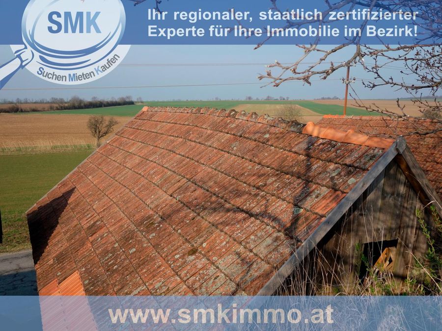 Haus kaufen in Niederösterreich Hollabrunn Immendorf 2417/9642 7