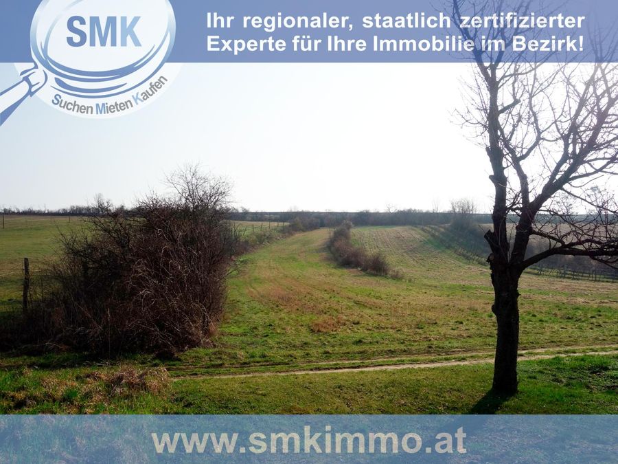 Haus kaufen in Niederösterreich Hollabrunn Immendorf 2417/9642 9