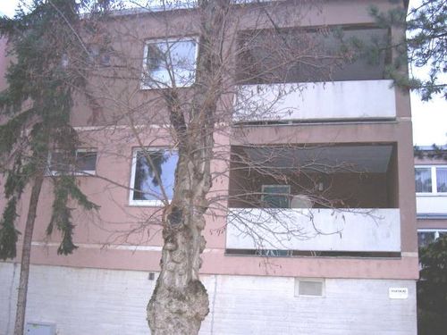 Wohnung privat verkaufen mit Makler in Gaweinstal (0)