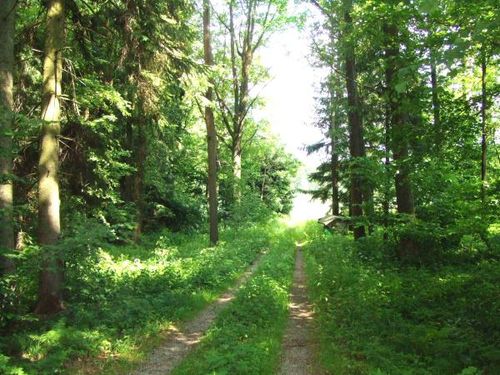  privat verkaufen mit Makler in    Haslau