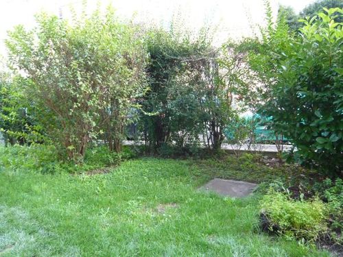  privat vermieten mit Makler in    Korneuburg